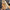 02a6b016-ef87-4685-9cdf-4153aa22c824-Max-Origin
