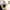 185b61de-ada1-4343-a609-53504d355618-Max-Origin