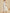 1b994ea9-0ab8-4a3d-b064-cbeb438a37ef-Max-Origin