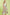248bc273-fb25-40a8-99d5-6c0bdc9fe828-Max-Origin