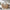 288cc78f-1475-4224-aeb2-ba05efdc92e3-Max-Origin