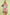 51a00d0d-1ce7-4095-bbdb-a20d5ff7796d-Max