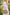 99ff6e7648a94e01a507487e0225c4fc-Max-Origin