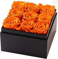 Roses in clear Square Box. Handmade real Preserved Roses