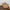 b4bf2b1f-d036-4443-8765-84c0ffd789df-Max-Origin