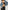 bebaea2a-3042-491d-b862-e6dfd1d8148b-Max